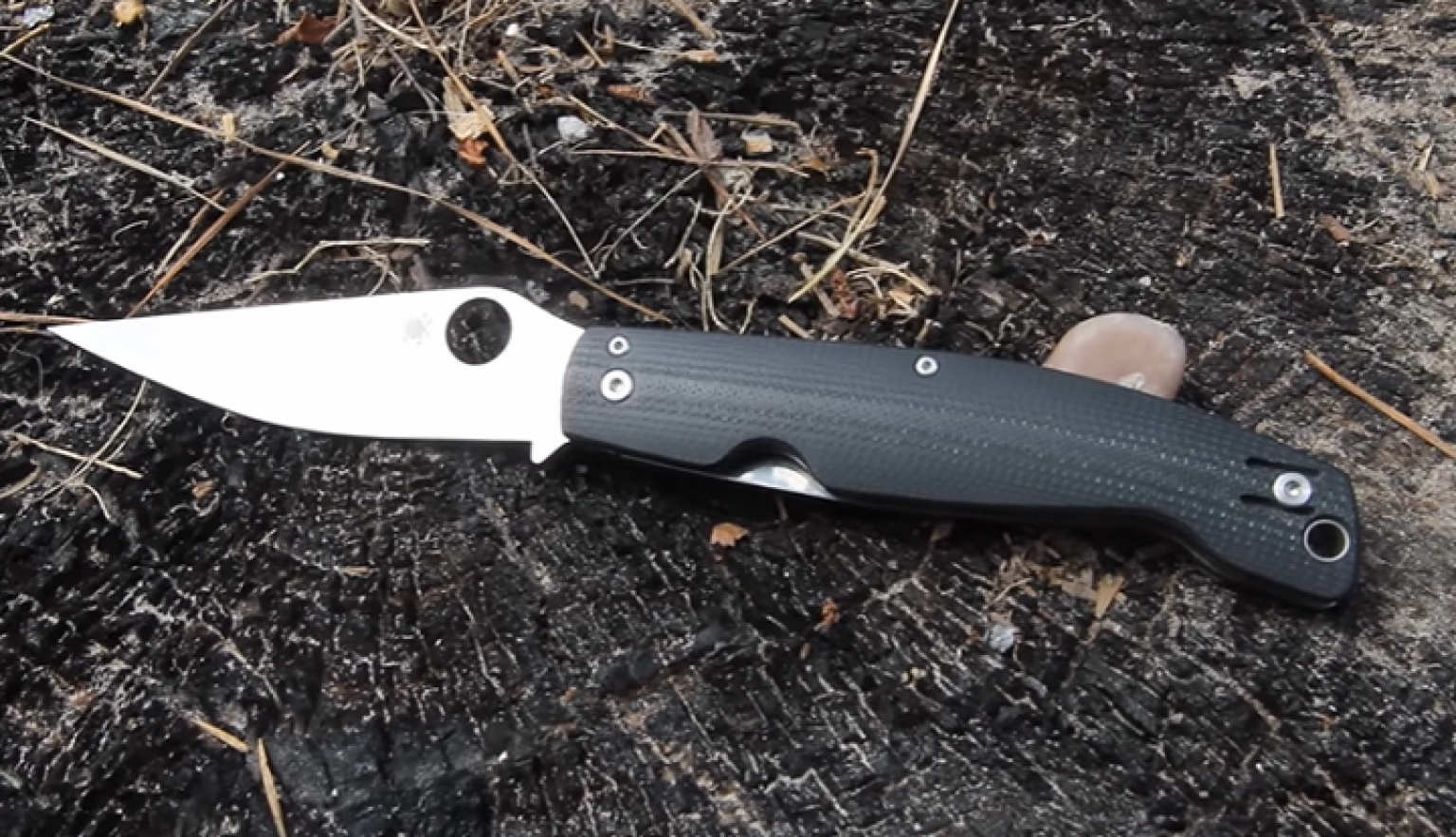 Serrated Knife Vs Plain Edge Which Knife Is Better? Knives Task