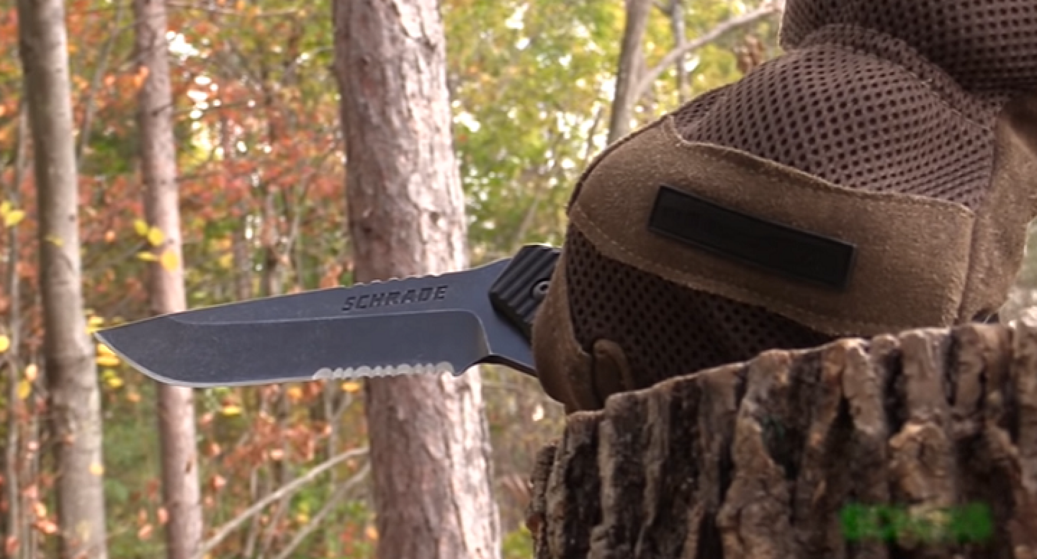 Serrated Knife Vs Plain Edge Which Knife Is Better? Knives Task